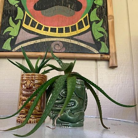 Hau'Oli Place Tiki Cottage In ボルケーノ エクステリア 写真