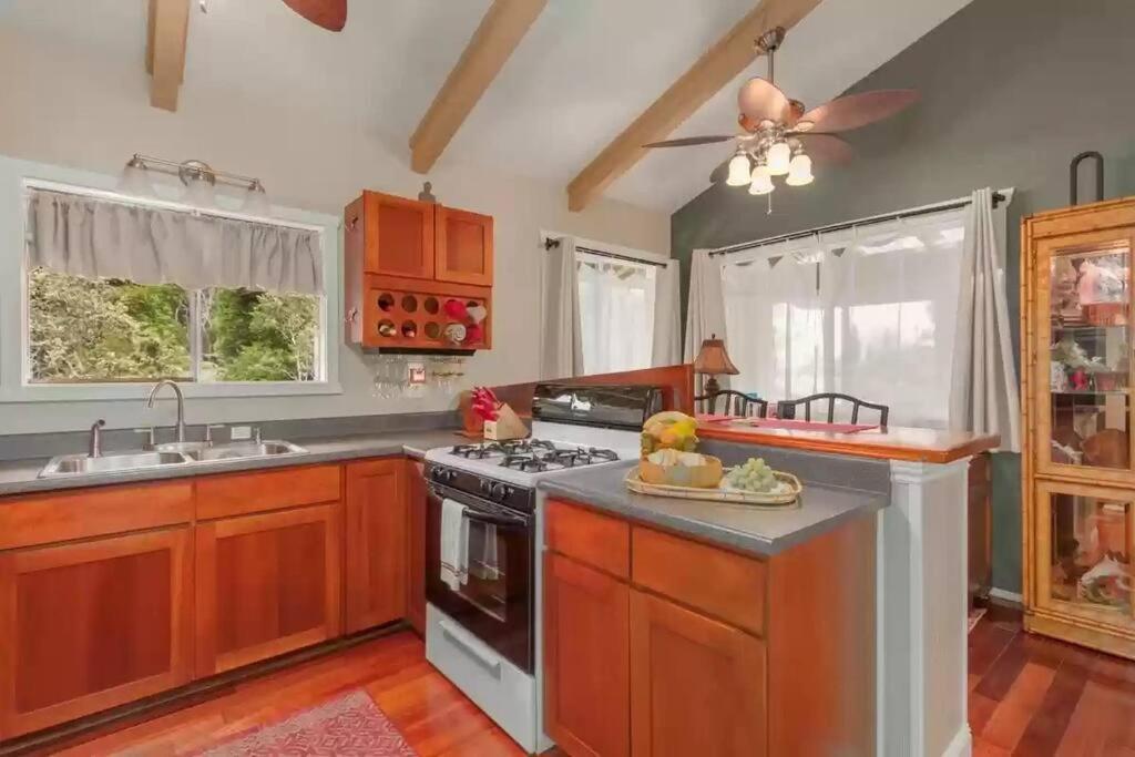 Hau'Oli Place Tiki Cottage In ボルケーノ エクステリア 写真