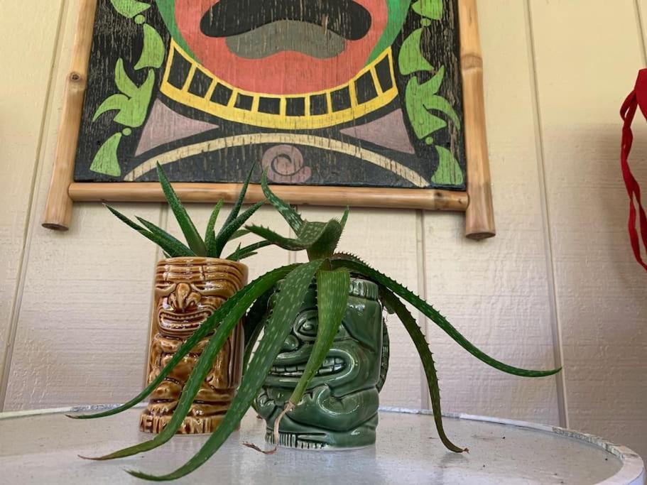 Hau'Oli Place Tiki Cottage In ボルケーノ エクステリア 写真
