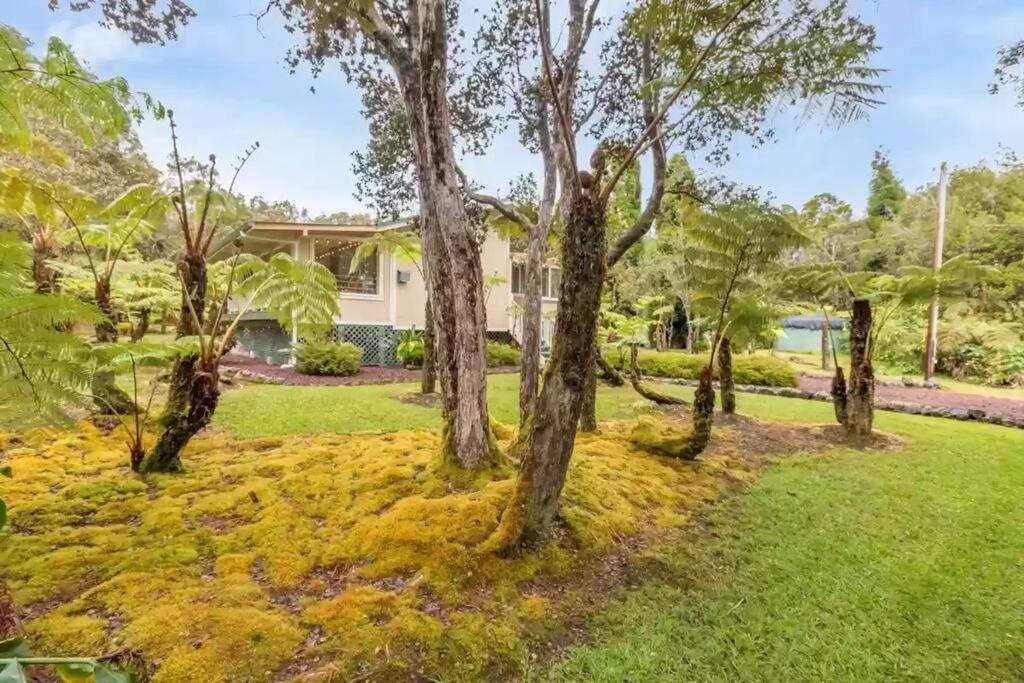 Hau'Oli Place Tiki Cottage In ボルケーノ エクステリア 写真