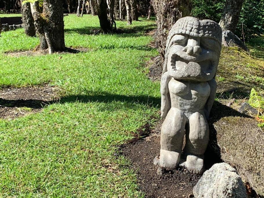 Hau'Oli Place Tiki Cottage In ボルケーノ エクステリア 写真